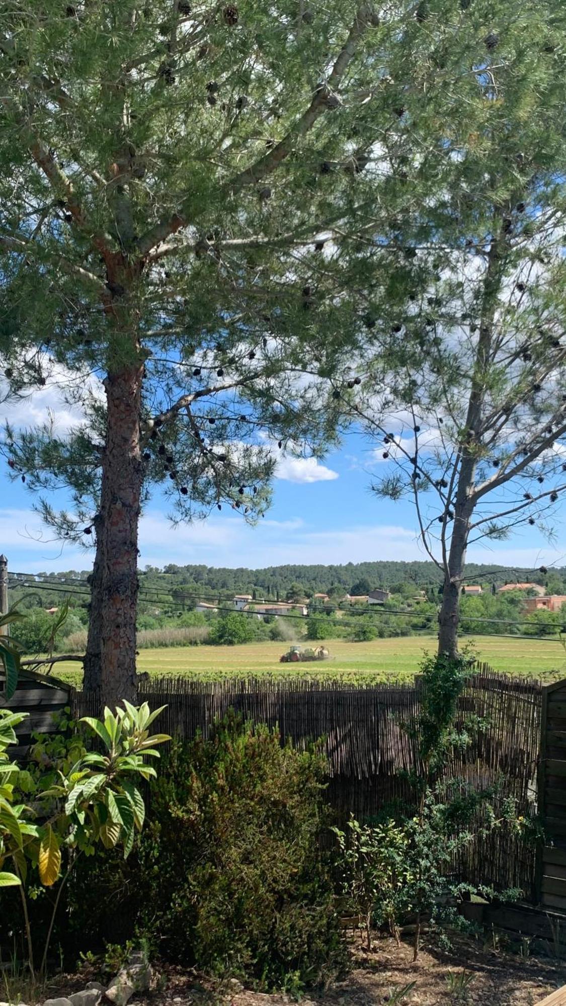 Villa En Bordure De Colline*Piscine*Clim*Netflix Les Matelles Екстериор снимка